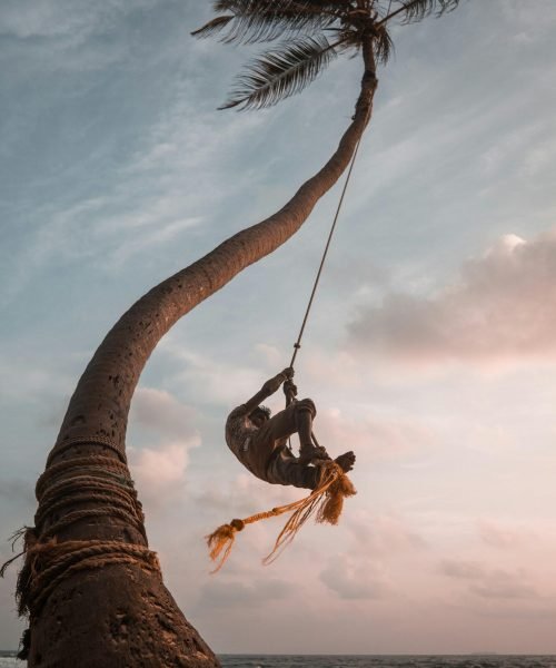 Люлка на палмово дърво на плажа в Унауатуна