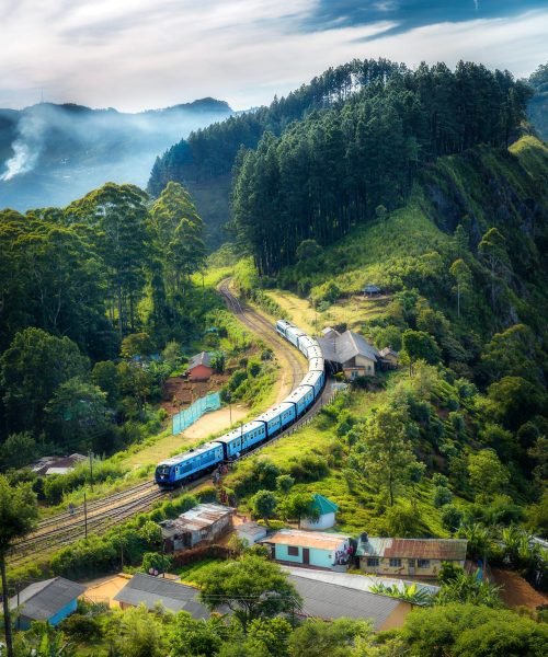 Влак в планинските райони на Шри Ланка с много зеленина и малки къщички