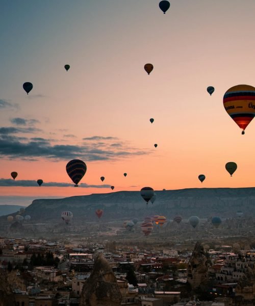 pexels-taryn-elliott-3889724