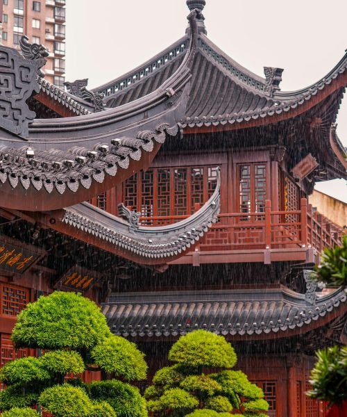 prashant-moorthy-Zb8J-1wEwUU-unsplash