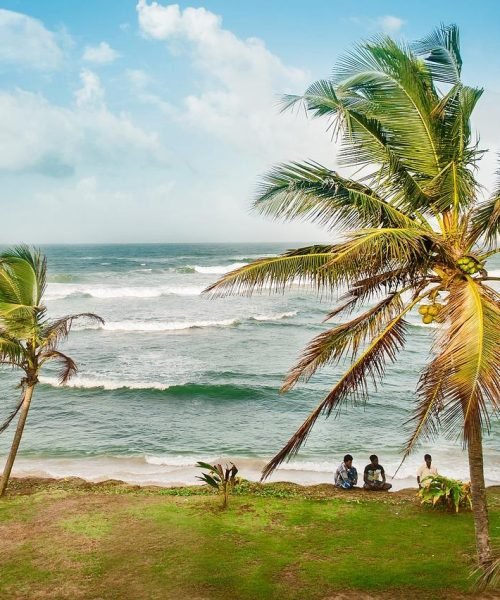 Плаж с палми в Шри Ланка